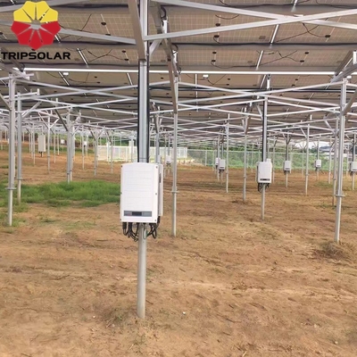 Système de montage au sol pour fermes solaires certifié ISO9001/CE et durée de vie de 25 ans